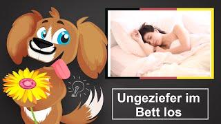  Ungeziefer im Bett loswerden