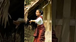 bihu song Assamese.