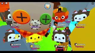 Pet Sim X: jumpscare dell'huge scarecrow cat!!! (trovato il terzo)