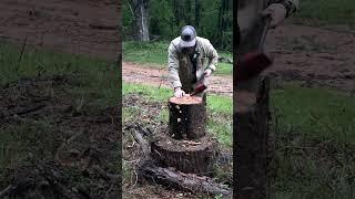 Splitting Rotten Red Oak 🪵 🪓  #firewood #wood #burningwood #hardwork #shorts