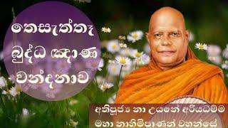 තෙසැත්තෑ බුද්ධ ඤාණ වන්දනාව - Ven.Na Uyane Ariyadhamma Thero