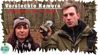 Versteckte Kamera - Fotofalle - Wildkamera