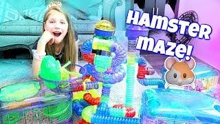 AMAZING HAMSTER MAZE! Setting up Hamster Cages and Tubes from CritterTrail Shopping at PetSmart