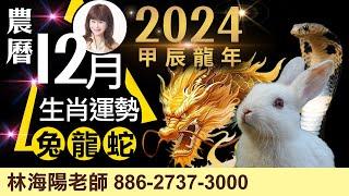 2024農曆12月，生肖運勢大解析（兔、龍、蛇）【林海陽】_20241223