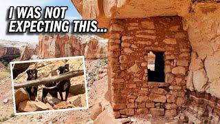 Lost Dogs, Ancient Ruins, and a Ladder to Nowhere – What Is This Canyon Hiding?