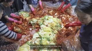 So macht man in Korea Kimchi für ein ganzes Jahr! Traditionelle Fermentation & Lagerung