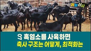 07 흑염소를 사육하면  축사 구조를 어떻게, 최적화는