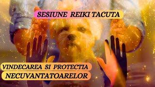 SESIUNE REIKI TACUTA - VINDECAREA SI PROTECTIA NECUVANTATOARELOR