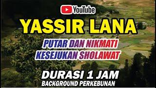 Yassir Lana - Ai Khodijah - 1 Jam Non Stop | background perkebunan | #sholawat #sholawatviral #viral