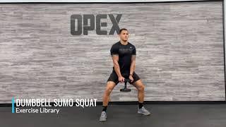 Dumbbell Sumo Squat