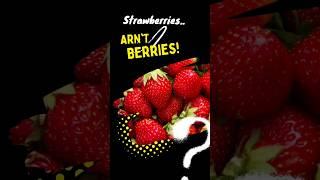 The Great Debate: Are Strawberries Really Berries? #health #wellness #shorts