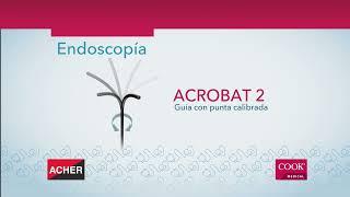 ACHER - COOK Medical. Endoscopia