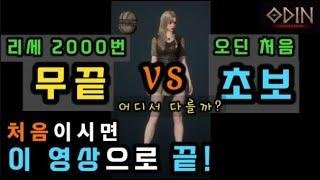 [오딘] 무과금, 오딘1도 몰라도 가능한 【극초반가이드】 언제든 / 누구나 쌉가능! 이 영상으로 끝내겠습니다. [신규/오린이/초보/처음/복귀/입문]