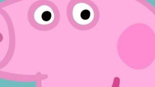 I Hate This Stupid Pig.