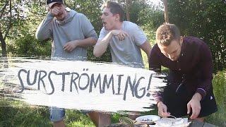 SURSTRÖMMING | Tim & Danny testar