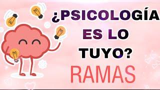 ¿QUÉ ES LA PSICOLOGÍA? I RAMAS DE LA PSICOLOGÍA