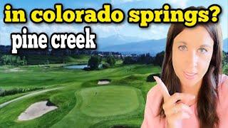 Pine Creek: COLORADO SPRINGS Most Amazing Northern ESTABLISHED Neighborhood Homes for 2024