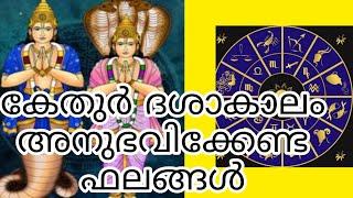 കേതുർദശ, ketu dasha, നിങ്ങളുടെ ജീവിതത്തിൽ എങ്ങനെ അനുഭവപ്പെടുന്നു #youtube #astrology #2022