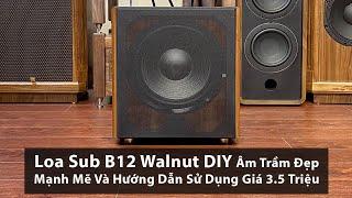 Loa Sub B12 Walnut DIY Âm Trầm Đẹp Mạnh Mẽ Và Hướng Dẫn Sử Dụng Giá 3.5 Triệu