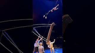 Watch This Acrobat Defy GRAVITY in Mind-Blowing Show