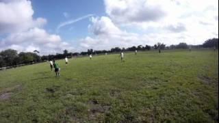 Ultimate Frisbee Headcam 7-24-11 Part 1
