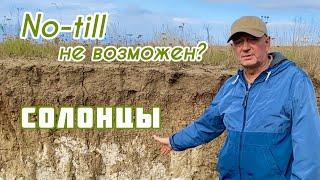 No-till на солонцах невозможен?