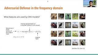 Frequency-Based Explanation for Robust CNN