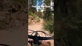 Feeling the flow at Vail Bike Park 