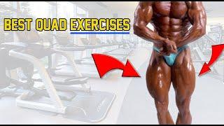 Best Quad Exercises  quad exercises