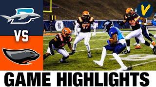 Blues vs Sea Lions | 2021 Spring League Football Highlights