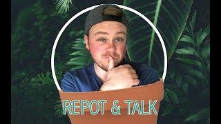 Repot & Talk