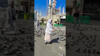 Umrah Sharif 2024#suraiya vlog#YouTube shorts