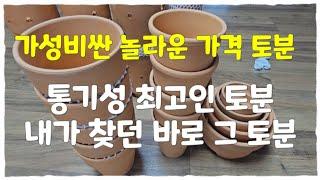 가성비싼 토분에 디자인과 통기성 짱인 토분이 있다고?어디 한번 볼까요!!!