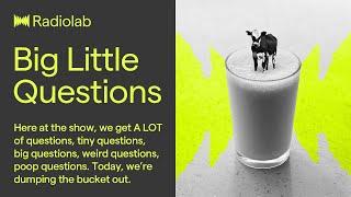 Big Little Questions | Radiolab Podcast