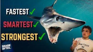 Is the SHORTFIN MAKO the Most ELITE Shark?