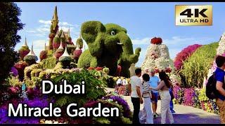 Dubai  Flower Miracle Garden [ 4K ] Walking Tour April 2023