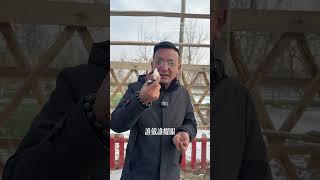 第一块皮色老气，直接打孔佩戴，第二块白度好，形状好，糯性好，最后一块像一块芒果一样，非常不错收藏级的小把件 #和田玉 #翡翠 #玉佩 #古玉收藏 #弘扬正能量 #感情 #翡翠手鐲