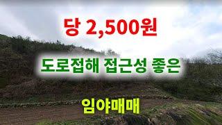 [1269][임야매매] 지적도상 도로가 접해 접근성이 좋고 평당 2,500원으로 내 놓은 임야매매입니다.