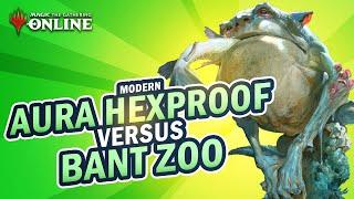 MTG Online | Modern | Aura Hexproof vs Bant Zoo