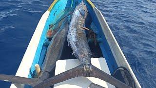 MANCING TENGIRI || DIHADANG KAWANAN BLACK MARLIN/LAYARAN || AUTO SEKALI NAIK DUA EKOR#mancingmania