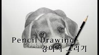 연필드로잉 - 동물(강아지) 그리기 [ Drawing animal/How to draw a dog ]