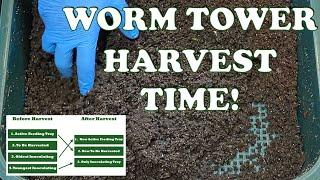 Worm Castings Harvest Day in My Vermihut Worm Tower + Worm Time Lapse | Vermicompost Worm Farm