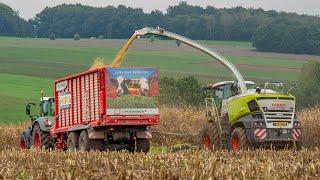 Claas Jaguar 980 / J-Reiff.lu / Mais hakselen / Fendt + New Holland / Ardennen / Silage