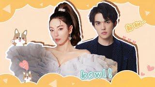 【張雨绮×李柄熹】娛樂圈姐弟戀範本！美豔女明星和年下男友好甜
