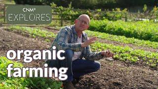 Organic Farming vs Conventional Farming - the benefits and differences of farming organically