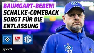 Hamburger SV - FC Schalke 04 | 2. Bundesliga Tore und Highlights 13. Spieltag