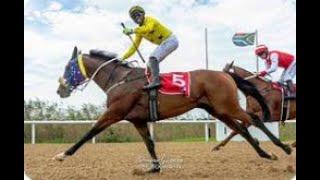 【FAIRVIEW AW】 SOUTH AFRICA HORSE RACE ANALYSIS