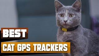 Best Cat GPS Tracker In 2024 - Top 10 Cat GPS Trackers Review