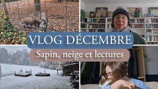 VLOG December 2024: Fir, Snow and Readings