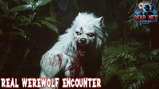 He Helped an Albino Werewolf and It Saved His Life!